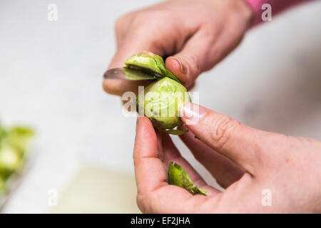 Hände halten und schneiden eine rohe Rosenkohl (Brassica Oleracea) mit einem Küchenmesser Stockfoto