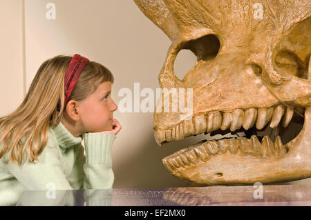 Junge Studentin im Museum von Dinosaurier Fossil anzeigen Stockfoto