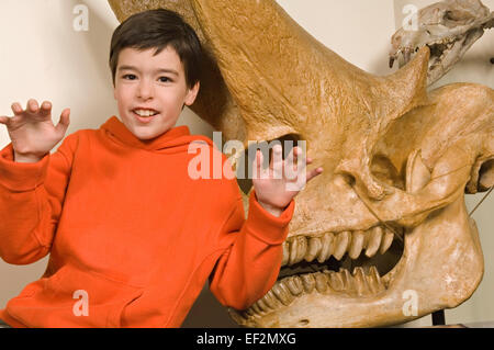 Junge Studentin im Museum von Dinosaurier Fossil anzeigen Stockfoto