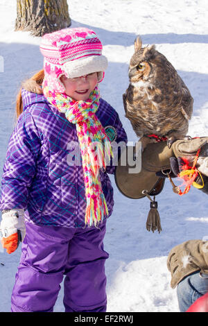 Junges Mädchen hält eine große gehörnte Eule auf dem Arm auf dem Winter-Festival in Cannington Ontario Stockfoto
