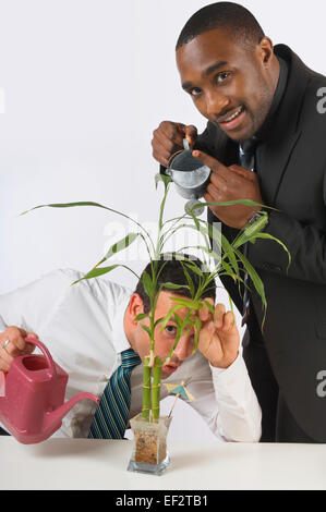 Zwei Geschäftsleute, die Bewässerung einer Topfpflanze Stockfoto