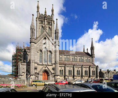 Dom St. Marien in Kilkenny Stockfoto