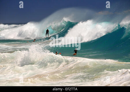 Surfer und riesigen Wellengang am Sandstrand, Oahu, Hawaii Stockfoto