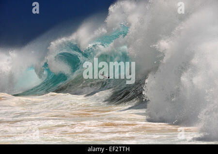 Riesige Wellen am Sandstrand, Oahu, Hawaii, USA Stockfoto