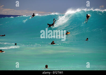 Body-Boarder und riesigen Wellengang am Sandstrand, Oahu, Hawaii Stockfoto