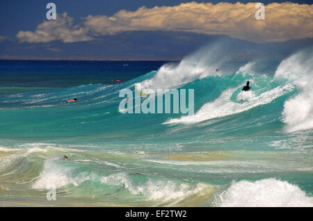 Riesige Wellen am Sandstrand, Oahu, Hawaii Stockfoto