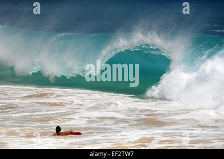 Riesige Wellen am Sandstrand, Oahu, Hawaii Stockfoto