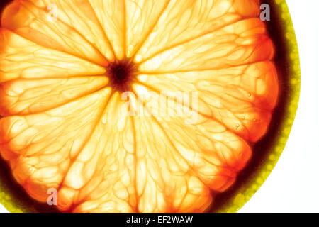 Makro Nahaufnahme von Grapefruit auf lighttable Stockfoto