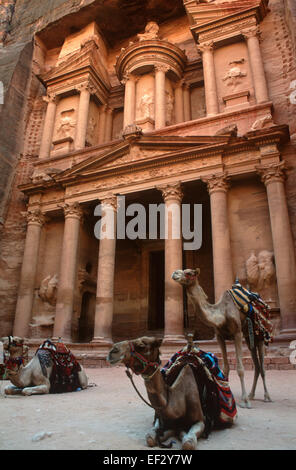 Drei Kamele sitzen und stehen vor dem Fiskus oder Al-Khazneh in Petra, Jordanien. Stockfoto