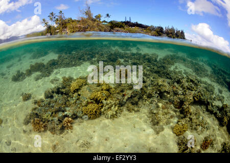 Coconut Island, Kaneohe Bay, Oahu, Hawaii, USA Stockfoto