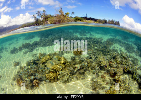 Coconut Island, Kaneohe Bay, Oahu, Hawaii, USA Stockfoto