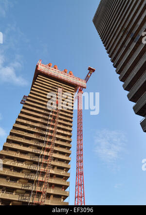 Januar 2015 - startet Top-Down-Abriss am die Gallowgate Zwillinge in Glasgow, Schottland höchste Hochhaus Wohnungen Stockfoto