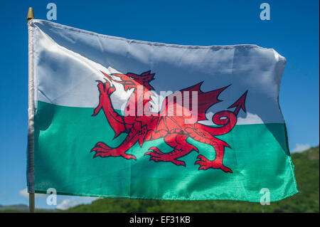 Flagge von Wales, Cardiff, Wales, Vereinigtes Königreich Stockfoto