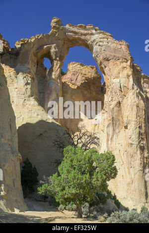 Felsformation, cottonwood Canyon Road, Utah, United States Stockfoto