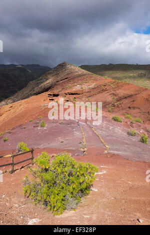 Sendero Quise, Wandern Wanderweg, Alajero, La Gomera, Kanarische Inseln, Spanien Stockfoto