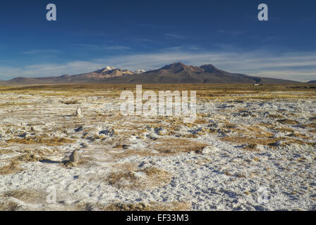 Malerische Aussicht auf bolivianischen Nationalparks Sajama und seinen höchsten Gipfel Stockfoto