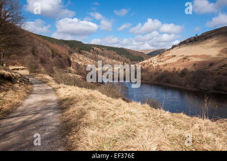 Woodlands Tal und Ladybower Vorratsbehälter. Eine Spur an den Wassern des Ladybower Vorratsbehälter an einem sonnigen Frühlingstag. Stockfoto