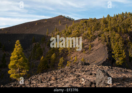 19 km lange Ruta de Los Volcanes (Vulkan Track) führt Wanderer entlang des Grates mit aktiven Vulkanen auf der Kanarischen Insel La Palma. Stockfoto