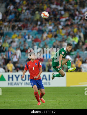 Sydney, Australien. 26. Januar 2015. AFC Asien-Pokal-Halbfinale. Korea Republik gegen Irak. Korea gewann das Spiel auf 2: 0. Bildnachweis: Aktion Plus Sport/Alamy Live-Nachrichten Stockfoto