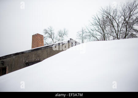 Oswiecim, Polen. 26. Januar 2015. Eine Gas Kammer am ehemaligen Nazi-deutschen Konzentrations- und Vernichtungslager Camp KL Auschwitz ich vor dem kommenden 70. Jahrestag der Befreiung des Lagers in Oswiecim, Polen, 26. Januar 2015. Foto: Rolf Vennenbernd/Dpa/Alamy Live News Stockfoto