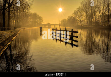 Niederländische winter Morgen Stimmung: Blick neblig, Frost auf dem Boden und einen goldenen Sonnenaufgang, Katwijk Aan Zee, Südholland. Stockfoto