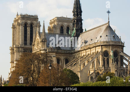 Kathedrale Notre Dame, Paris, Frankreich. Stockfoto