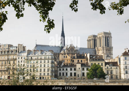 Île De La Cité - Insel in der Seine im Zentrum von Paris - von der rechten Uferseite betrachtet. Stockfoto