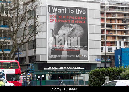 London, UK. 26. Januar 2015. Ein Plakat hängt an der Fassade eines Gebäudes auf London, die illegale Tötung von Elefanten in Afrika Credit hervorzuheben: Amer Ghazzal/Alamy Live-Nachrichten Stockfoto