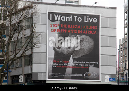 London, UK. 26. Januar 2015. Ein Plakat hängt an der Fassade eines Gebäudes auf London, die illegale Tötung von Elefanten in Afrika Credit hervorzuheben: Amer Ghazzal/Alamy Live-Nachrichten Stockfoto