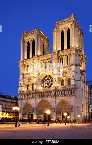 Nacht-Blick auf Notre Dame de Paris, France Stockfoto