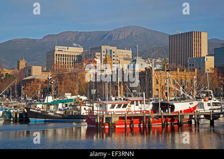 Angelboote/Fischerboote im Hafen von Hobart, Tasmanien, Australien angedockt Stockfoto