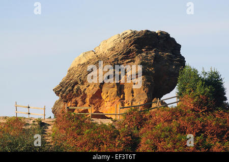 Das Agglestone Gestein an Godlingston Heath im Osten Dorset UK Stockfoto