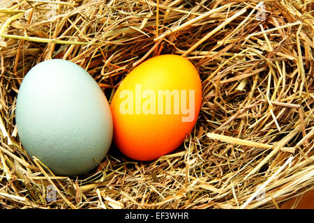 Zwei Ostern Eiern Closeup auf Stroh Stockfoto