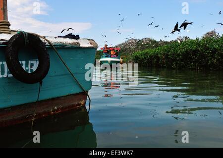 Boot für Touristen in "Isla de Los Pájaros" - PUERTO PIZARRO. Abteilung von Tumbes. Peru Stockfoto