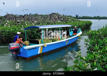 Boot für Touristen in "Isla de Los Pájaros" - PUERTO PIZARRO. Abteilung von Tumbes. Peru Stockfoto