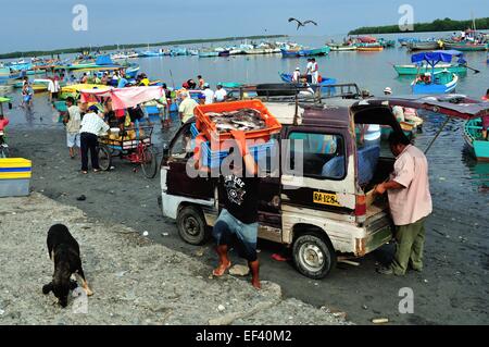 Fisch - Hafen in PUERTO PIZARRO kaufen. Abteilung von Tumbes. Peru Stockfoto