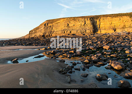 Klippen im Dunraven Bay, Glamorgan Heritage Coast, Wales, UK Stockfoto