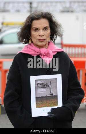 London, UK, 26. Januar 2015: Bianca Jagger spricht bei einer Anti-Fracking-Demonstration vor dem Parlament am Tag-MPs-Abstimmung über den Vorschlag, die umstrittene Praxis der Fracking zu verbieten. Bildnachweis: Siehe Li/Alamy Live News Stockfoto