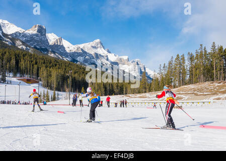 Skirennen in Canmore Nordic Centre Provincial Park, Canmore, Alberta, Kanada Stockfoto