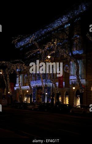 Weihnachtsbeleuchtung auf Bäumen Andrássy Útca, Budapest, Ungarn Stockfoto