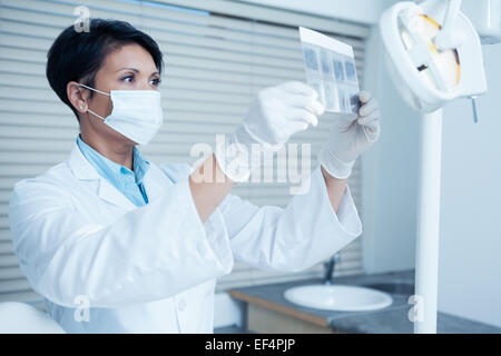 Konzentriert Zahnärztin Blick auf x-ray Stockfoto