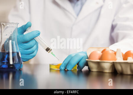 Ernährungswissenschaftler Injektion ein Eigelb in Petrischale Stockfoto