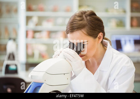 Junge Wissenschaftler arbeiten mit Mikroskop Stockfoto