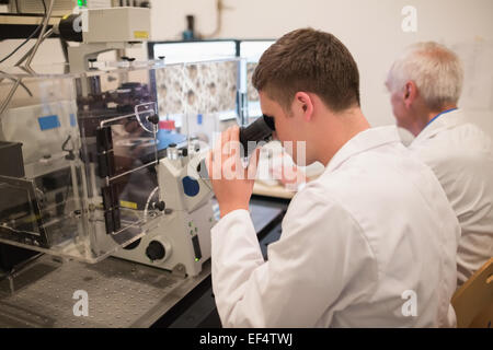 Biochemiker und Student Blick auf mikroskopische Bilder auf computer Stockfoto