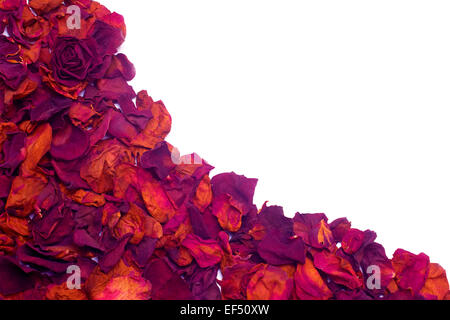 Getrocknete Rosenblüten Hintergrund mit dem Textfreiraum Stockfoto