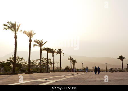 Allee in Ägypten Stockfoto