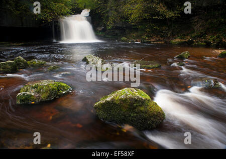 Cauldren fällt bei West Burton auf Waldren Beck. North Yorkshire. Stockfoto