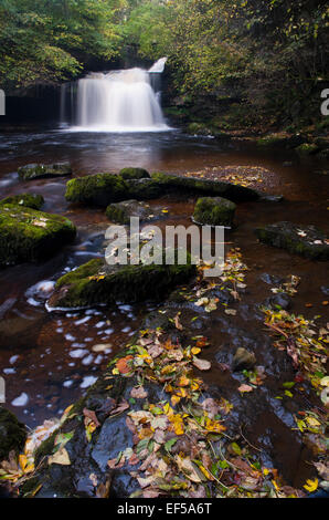 Cauldren fällt bei West Burton auf Waldren Beck. North Yorkshire. Stockfoto
