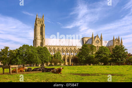 Die alten 13. Jahrhundert Beverley Minster an einem feinen sonnigen Morgen in East Riding von Yorkshire.UK. Stockfoto