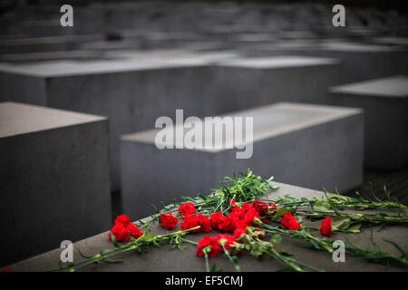 Berlin, Deutschland. 27. Januar 2015. Blumen sind an dem Mahnmal für die ermordeten Juden Europas, auch genannt das Holocaust-Mahnmal in Berlin, Hauptstadt Deutschlands, am 27. Januar 2015 gesehen. © Zhang Fan/Xinhua/Alamy Live-Nachrichten Stockfoto